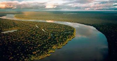 BNDES financia recuperação de 7,2 mil hectares na Amazônia