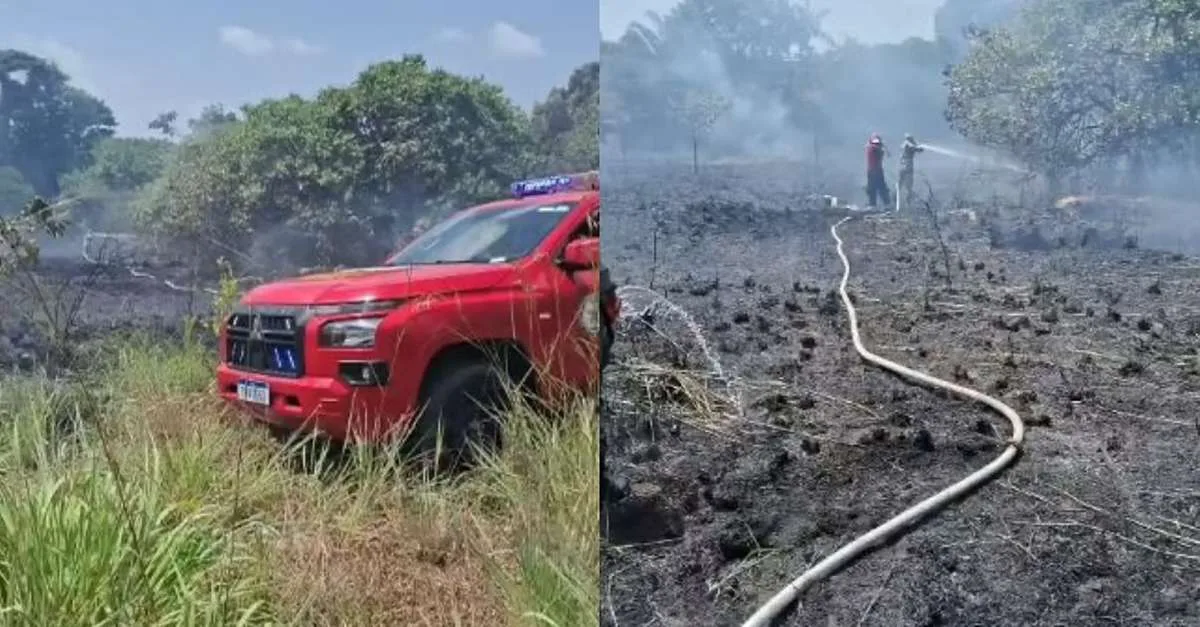 Incêndio em área de mata mobiliza bombeiros em Salinópolis