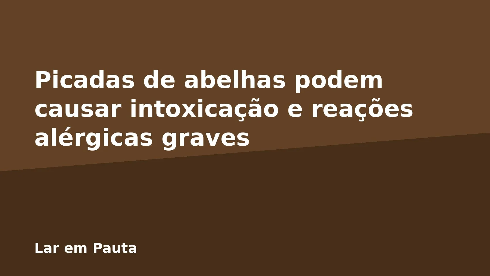 Picadas de abelhas podem causar intoxicação e reações alérgicas graves