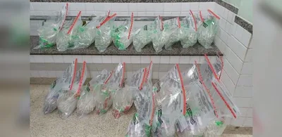 Fiscalização na BR-101 termina com prisão e apreensão de drogas em Anchieta