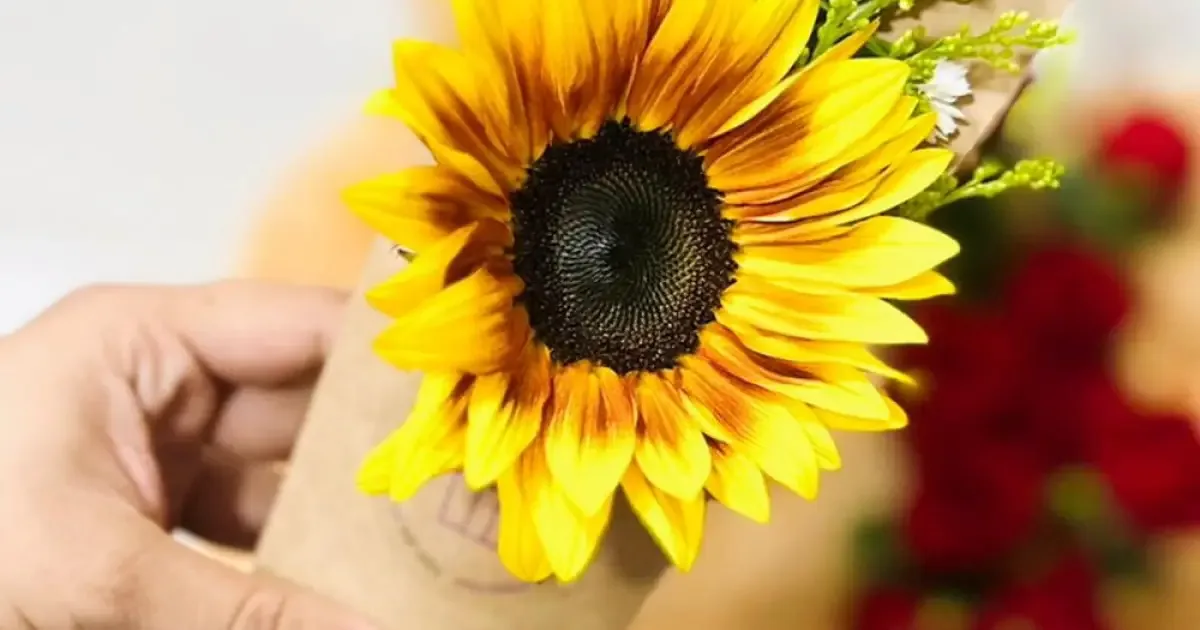Como combinar cinco flores para mudar a decoração na primavera