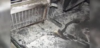 Incêndio danifica copa de churrascaria em Vitória após possível curto-circuito