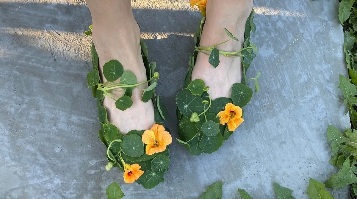 Artista transforma plantas frescas em sapatos, bolsas e roupas