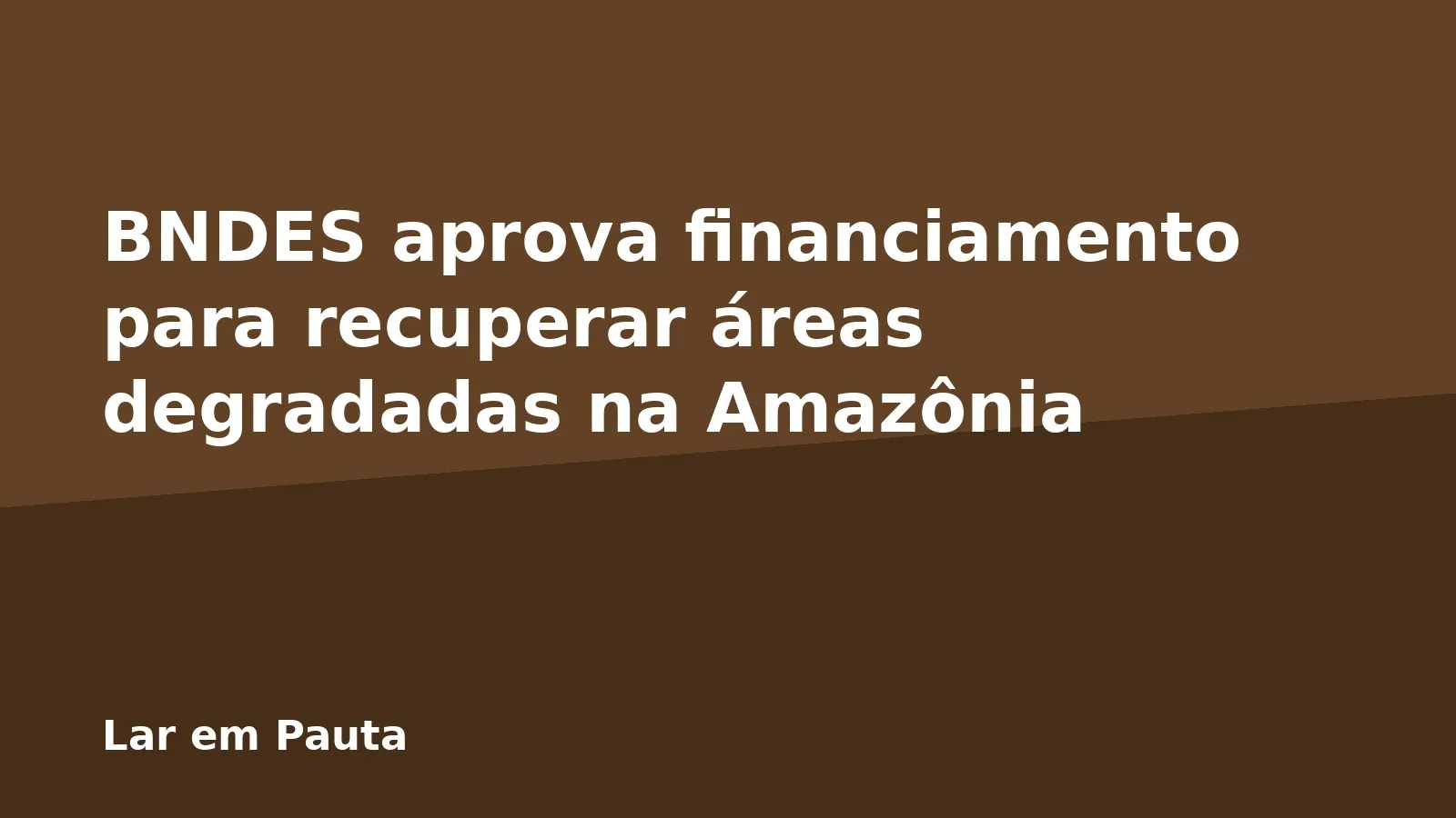 BNDES aprova financiamento para recuperar áreas degradadas na Amazônia