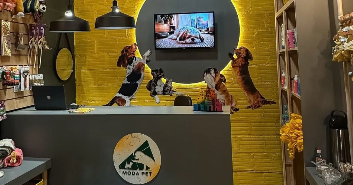 OG Moda Pet transforma sobras de confecção em renda para projetos sociais no Mercado Novo