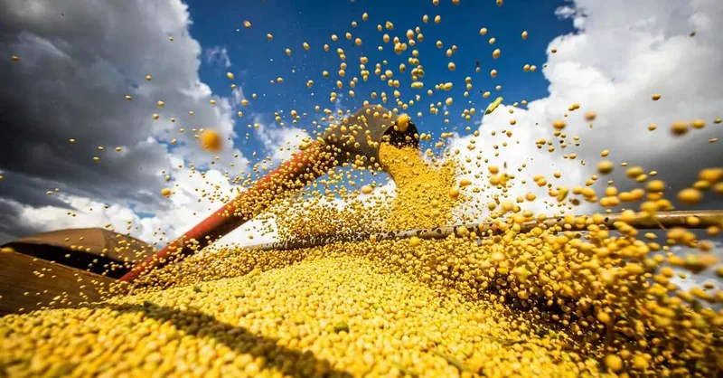 Pará alcança 9ª posição entre os estados com maior produção agrícola