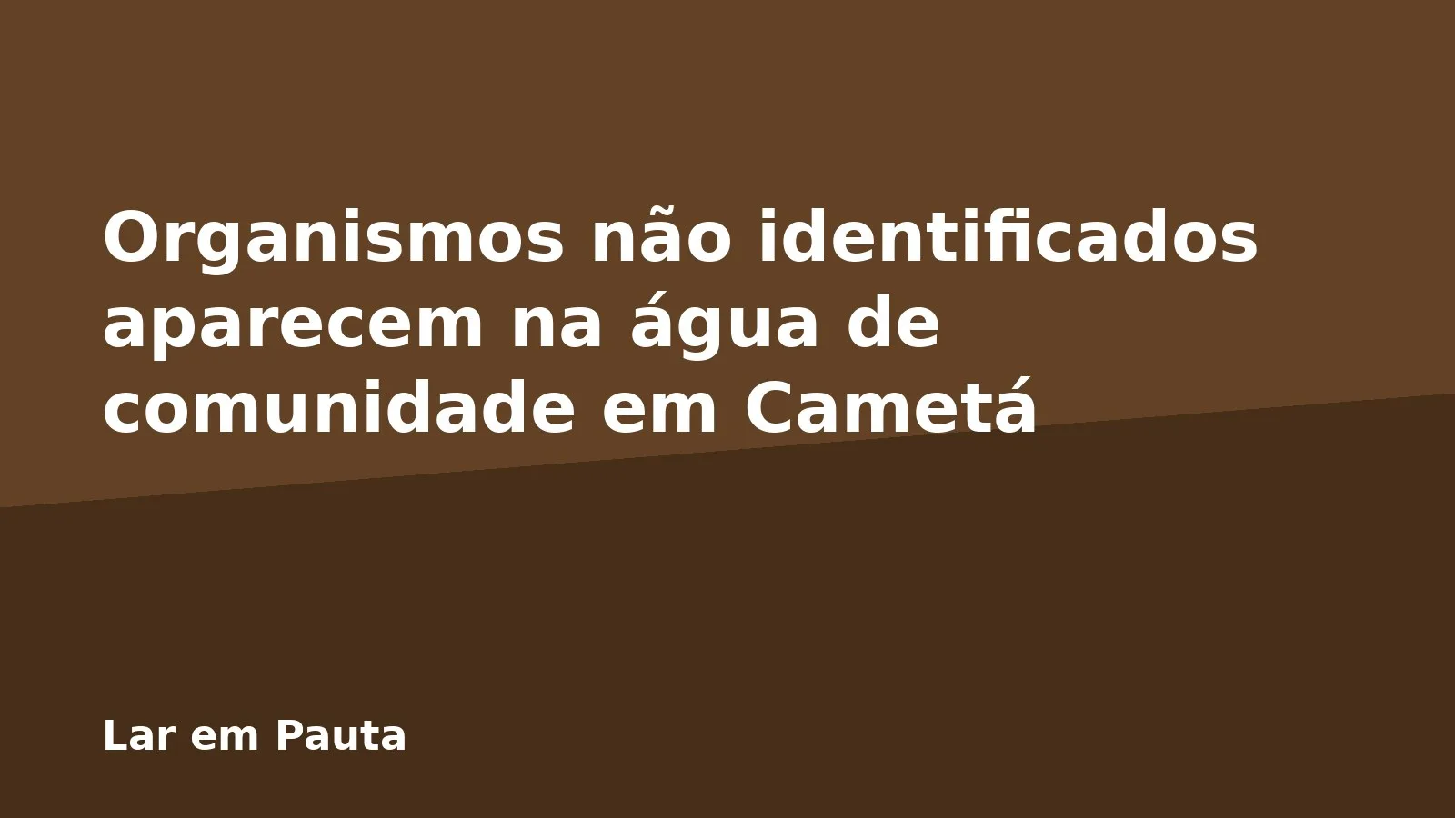 Organismos não identificados aparecem na água de comunidade em Cametá