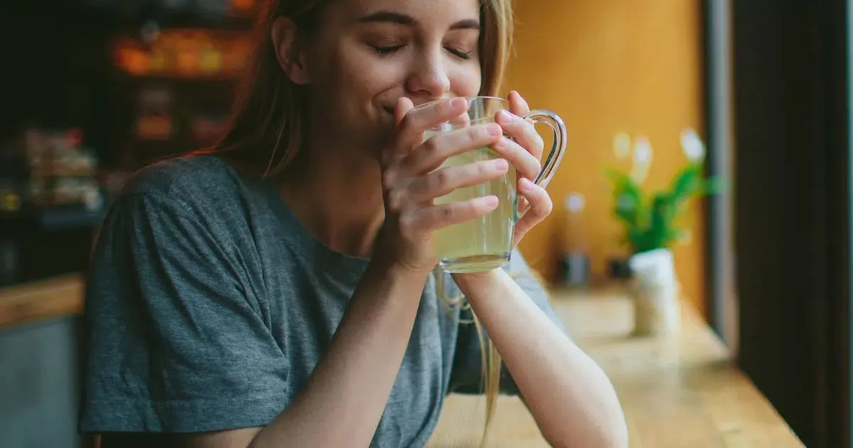 Três opções de bebidas para incluir nutrientes na rotina alimentar