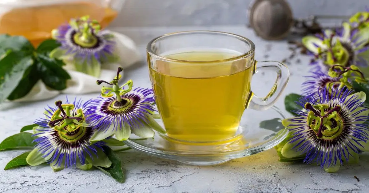 Passiflora pode integrar a rotina, mas exige cuidado no consumo