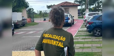 Cadela com tumor e sinais de desnutrição é resgatada; tutor é preso na Serra