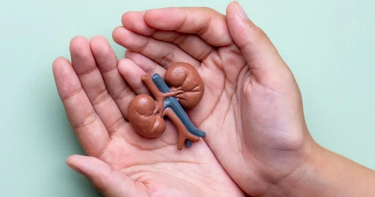 Como proteger os rins e quando o transplante pode ser indicado