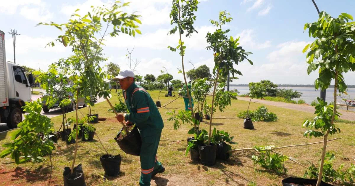 Portal da Amazônia ganha 300 mudas de espécies nativas em Belém