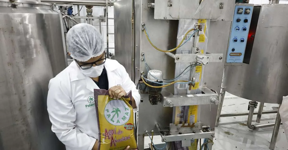 Pará terá isenção de ICMS para polpas de açaí e cupuaçu