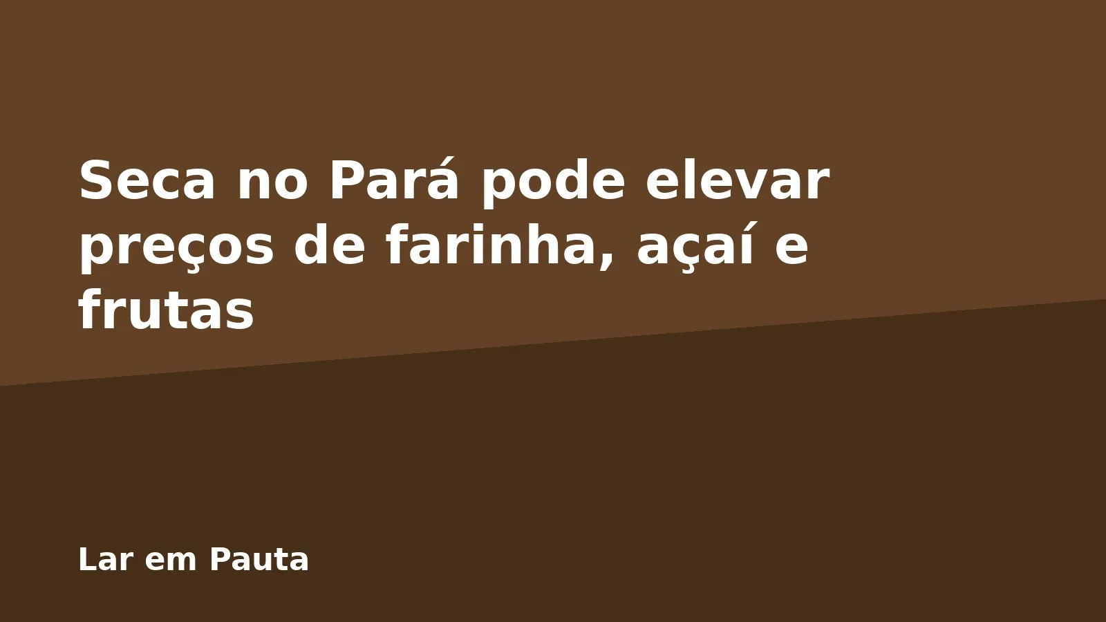 Seca no Pará pode elevar preços de farinha, açaí e frutas