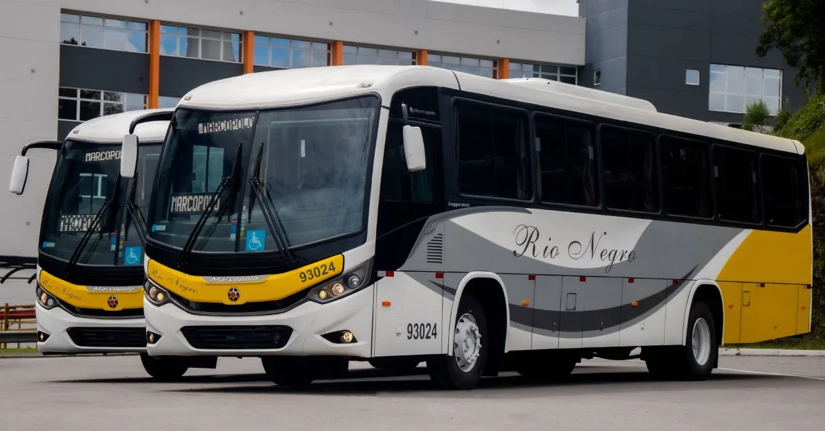 Rio Negro Transportes compra 78 ônibus para operações em Minas Gerais