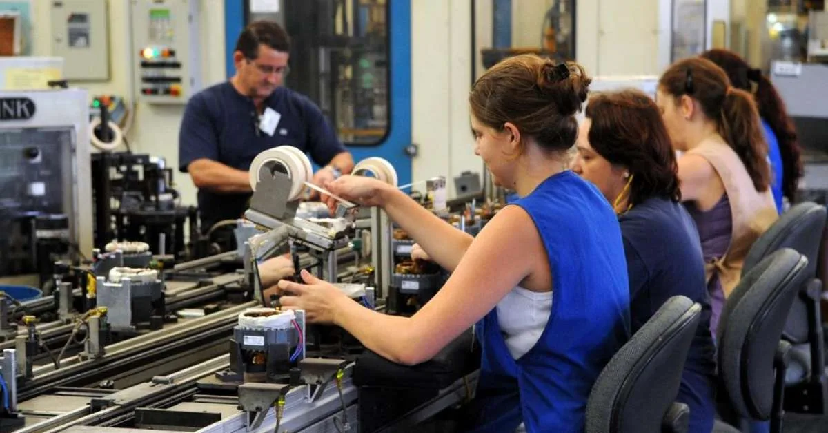 Pará amplia ocupação e escolaridade no mercado de trabalho entre 2012 e 2025