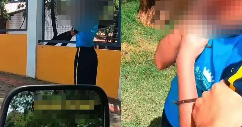 Motociclista resgata estudante cercada por abelhas em Ibirité