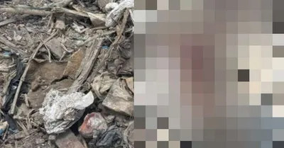 Corpo de homem desaparecido é localizado em área de lixo em Ananindeua