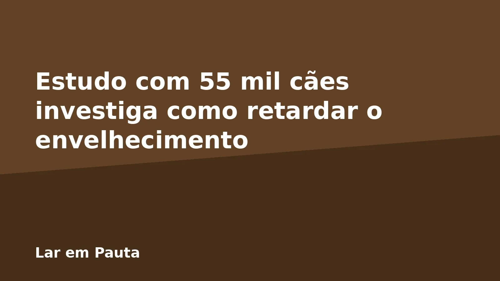 Estudo com 55 mil cães investiga como retardar o envelhecimento
