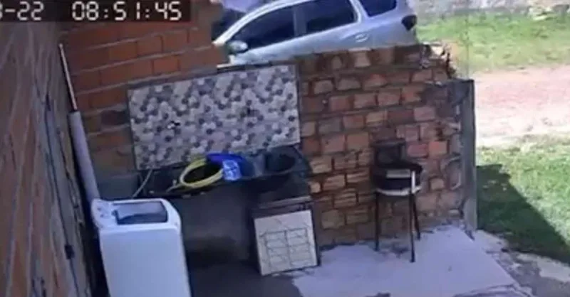 Cachorro morre após atropelamento em Marituba; caso é investigado