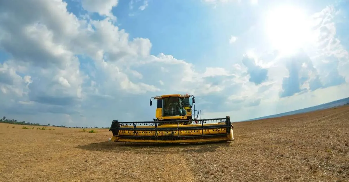 Agricultura do Pará alcança R$ 38,38 bilhões e lidera cinco cadeias no país