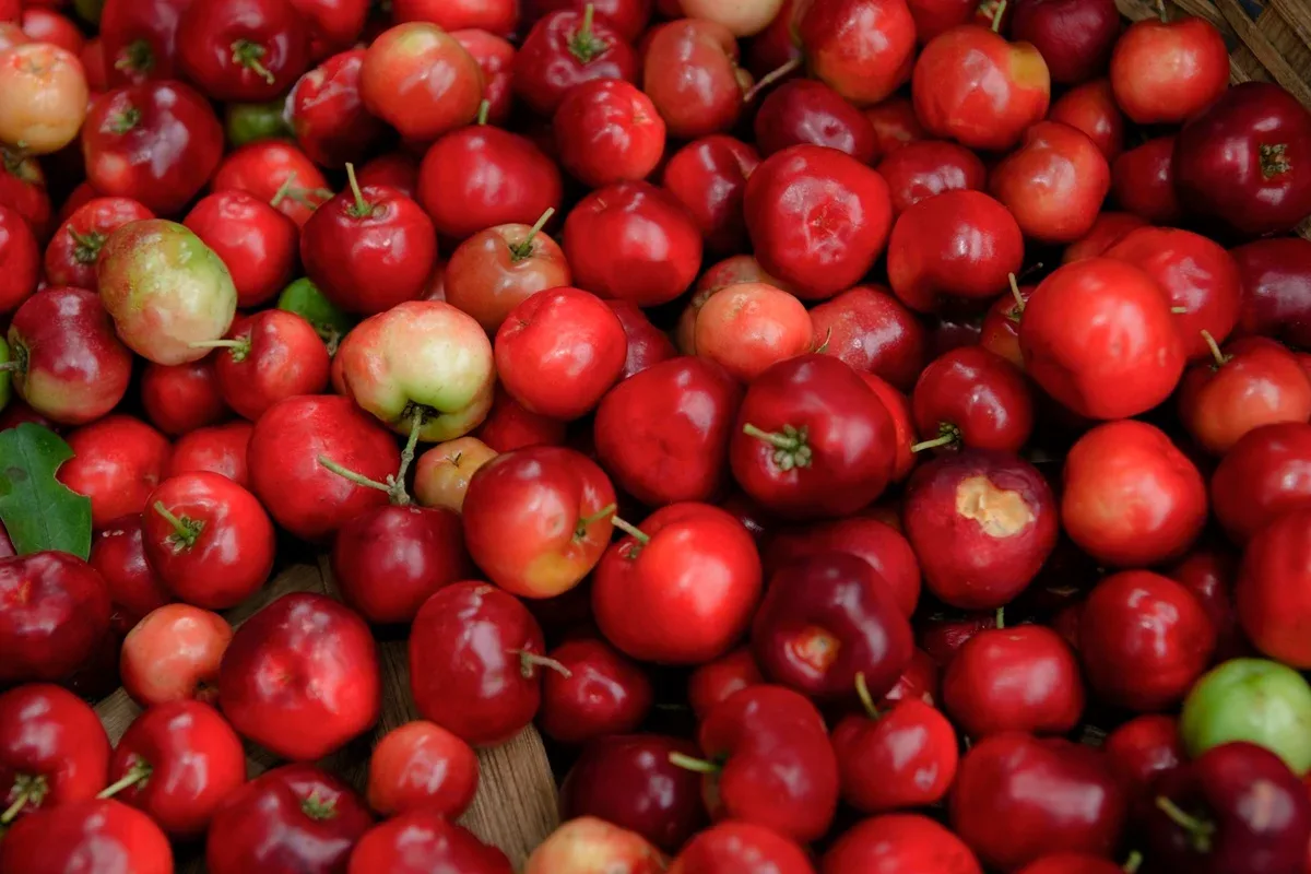 Sete frutas da primavera e os nutrientes associados a cada uma